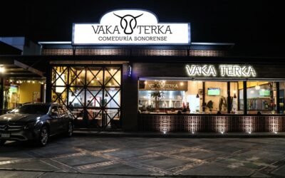 arquitecto-en-toluca-restaurante-vaka-terka-001